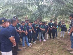 Peserta Pelatihan Pengembangan SDM Perkebunan Sawit, Field Trip ke PTPN XIV Luwu 2