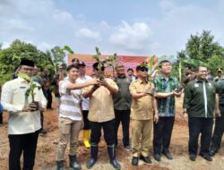 Aripin Sebut Pisang Cavendish Bisa Jadi Komoditas Andalan di Luwu Timur