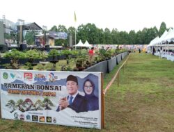 400 Bonsai Hiasi Lapangan Utama HUT Lutim ke-22: Kebanggaan Komunitas, Apresiasi untuk Pemerintah Daerah