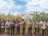 Polisi Kembali Lakukan Panen Jagung di Desa Kalaena, Wotu, Kolaborasi Hebat Dalam Menguatkan Pondasi Ketahanan Pangan
