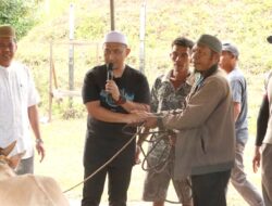 Kapolres Luwu Timur Turut Menyaksikan Langsung Penyembelihan 19 Hewan Qurban di Lapangan Tembak Mako Polres